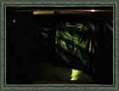 Projected Light Ghosts