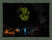 Tree Projection (2004)